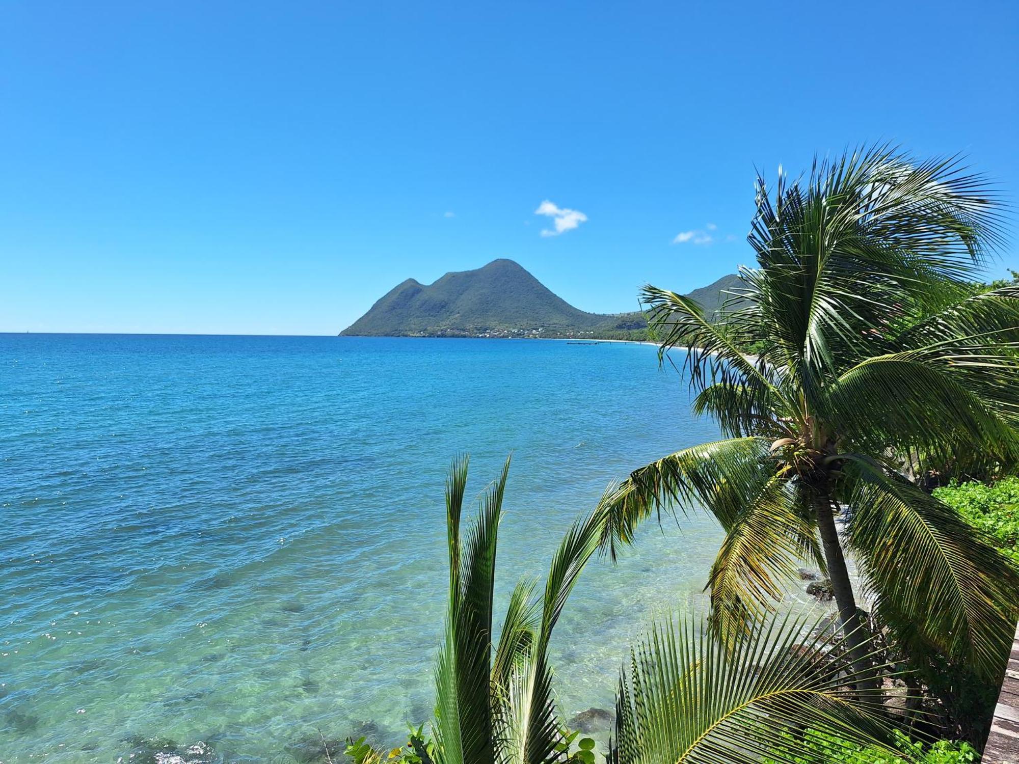 Le Madja'Kaz - Studio En Residence Et Bord De Mer - Sainte Luce Martinique Екстериор снимка