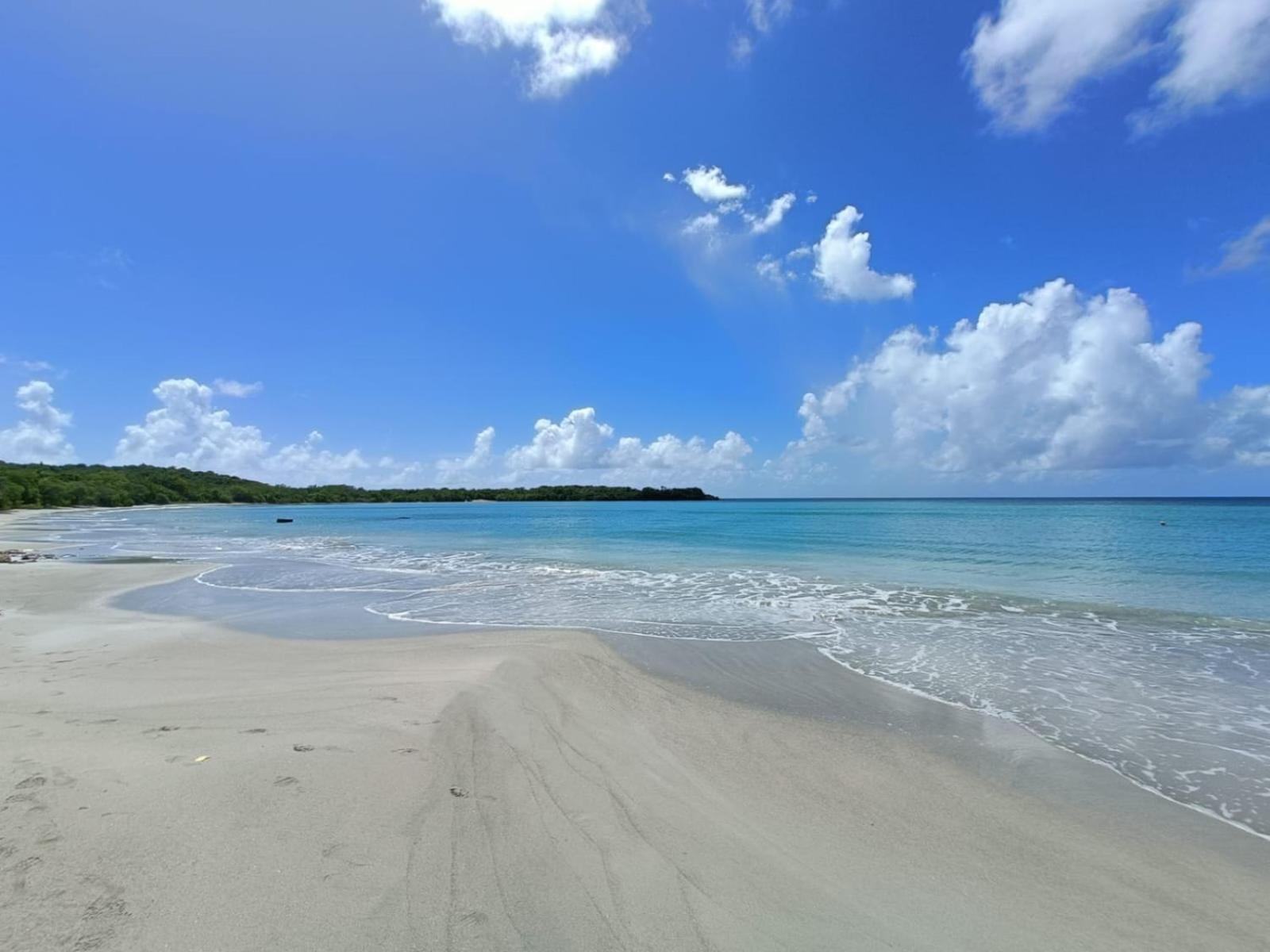 Le Madja'Kaz - Studio En Residence Et Bord De Mer - Sainte Luce Martinique Екстериор снимка