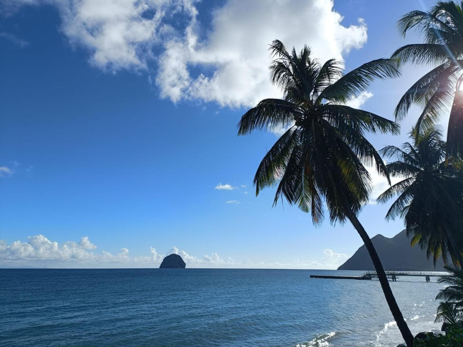 Le Madja'Kaz - Studio En Residence Et Bord De Mer - Sainte Luce Martinique Екстериор снимка